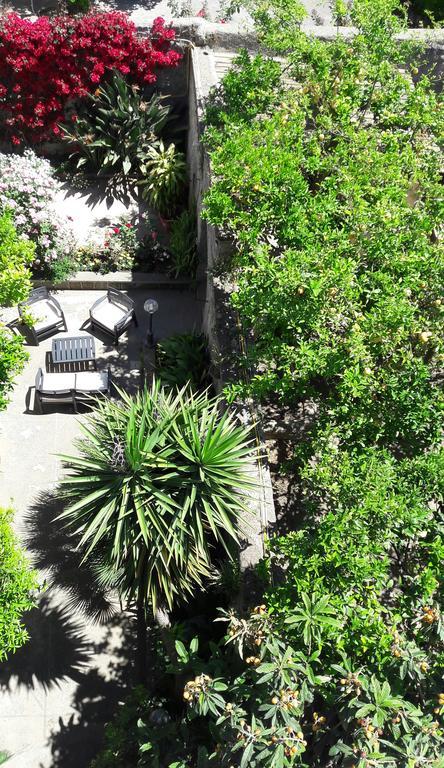 Back To Sorrento Bed and Breakfast Sant'Agnello Buitenkant foto